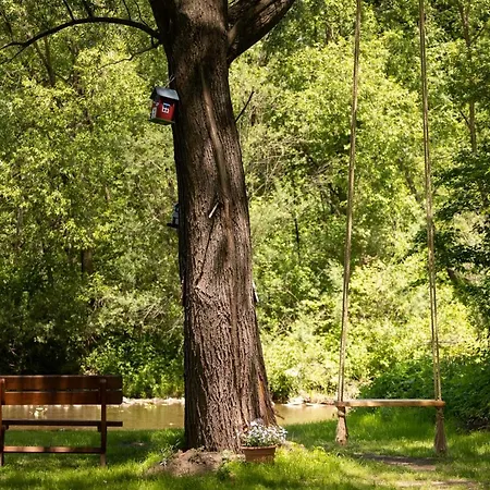 Domek alpejski Tu I Teraz Szczawnica